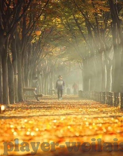 竞彩足球比分直播500万-竞彩足球比分直播，解锁500万梦想的激情舞台