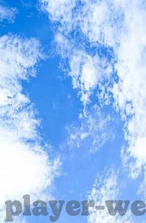 星空体育属于什么档次-星空体育的档次探索